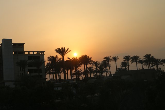 img_10601.jpg