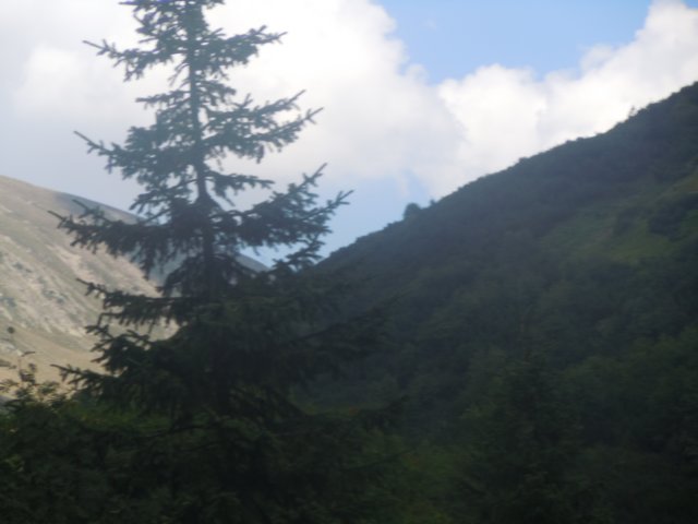dscn6891.jpg