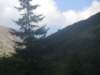 dscn6891_small.jpg