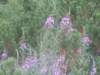 dscn6892_small.jpg