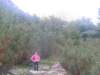 dscn6894_small.jpg