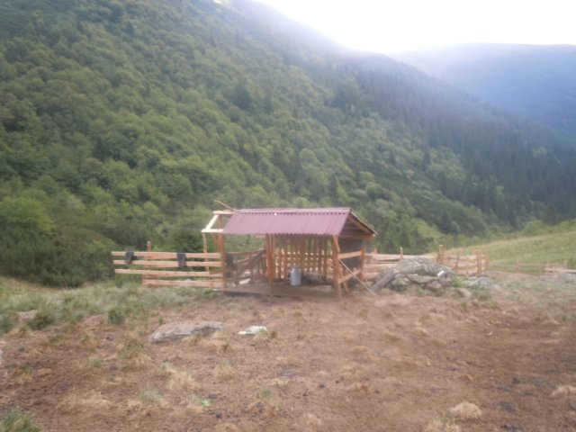 dscn6900.jpg