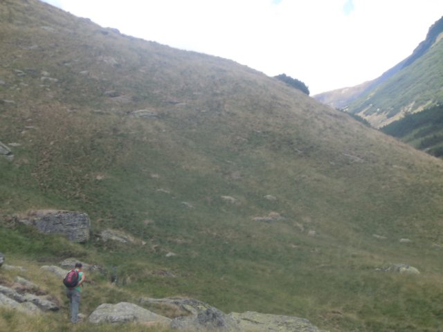 dscn6908.jpg