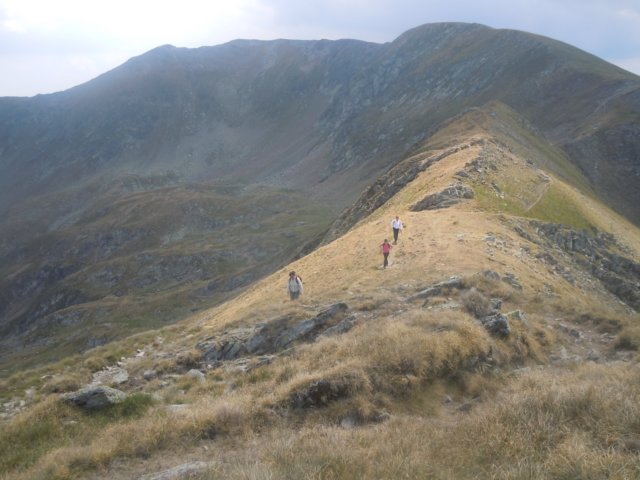 dscn6953.jpg