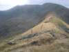 dscn6953_small.jpg