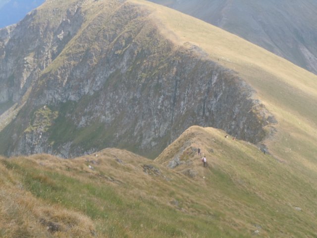dscn6965.jpg
