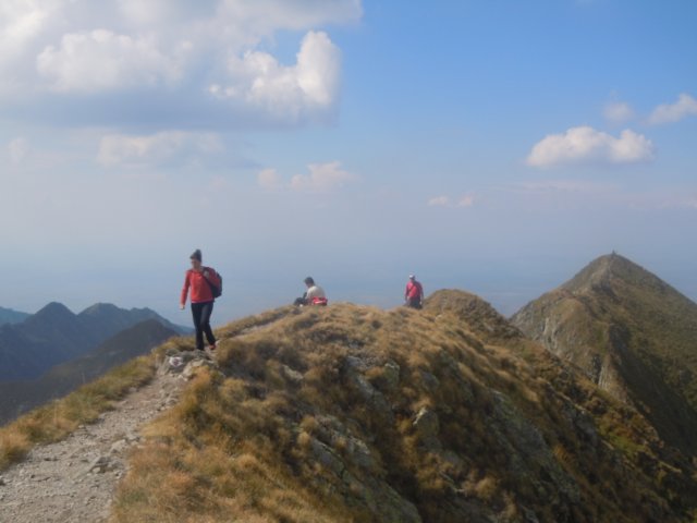 dscn6977.jpg