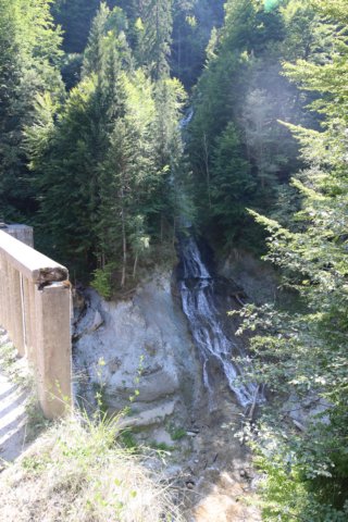 img_4931.jpg