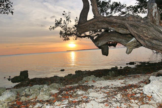 img_8705_fotor.jpg