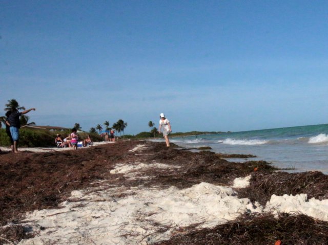 img_8822_fotor.jpg