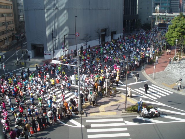 p2260155.jpg