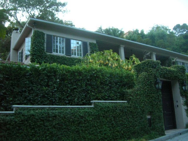 dscn1810.jpg