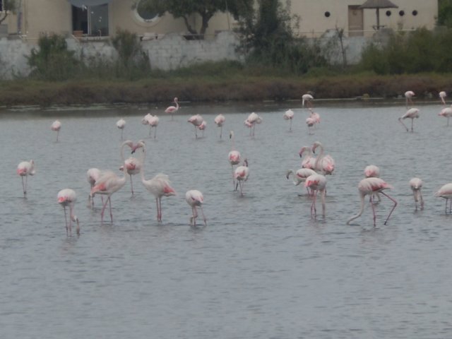 dscn7238.jpg