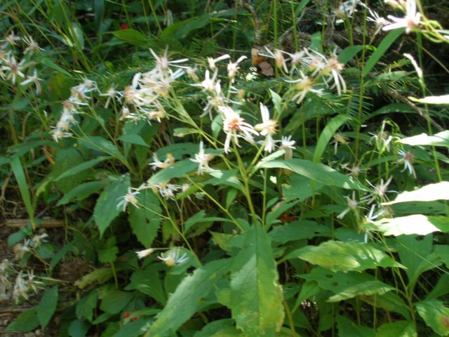 dscn3073.jpg