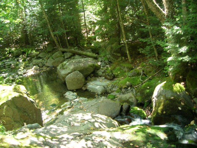 dscn3092.jpg