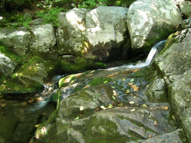 dscn3094.jpg