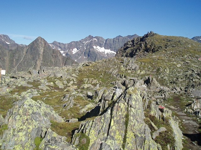 p8050016.jpg