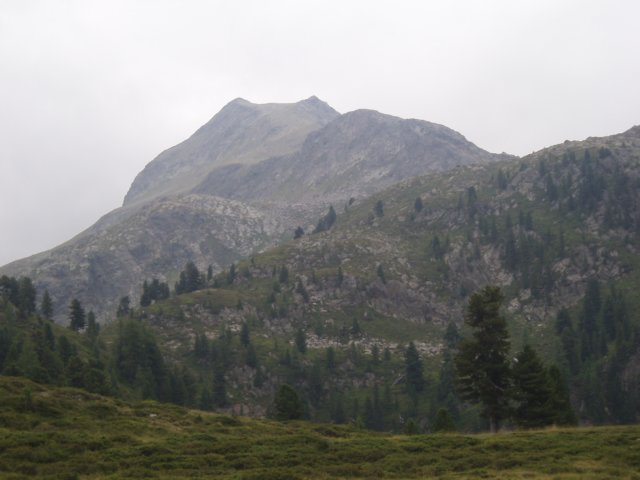 p8110349.jpg