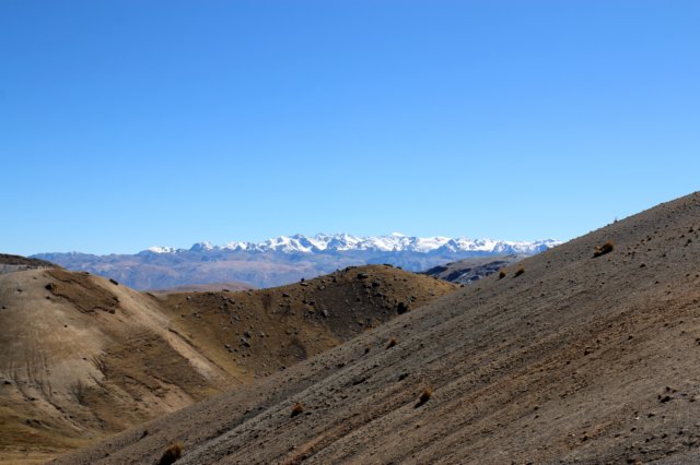 img_6331.jpg