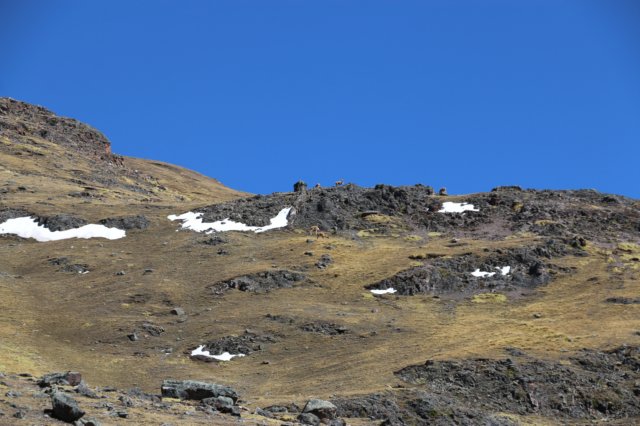 img_6733.jpg