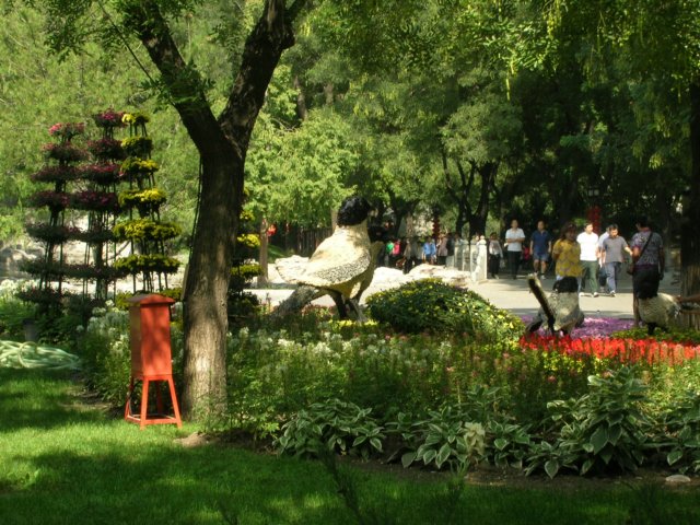 dscn0589.jpg