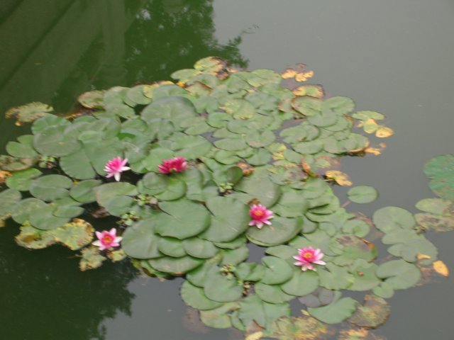 dscn0864.jpg