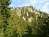 dscn3483_small.jpg