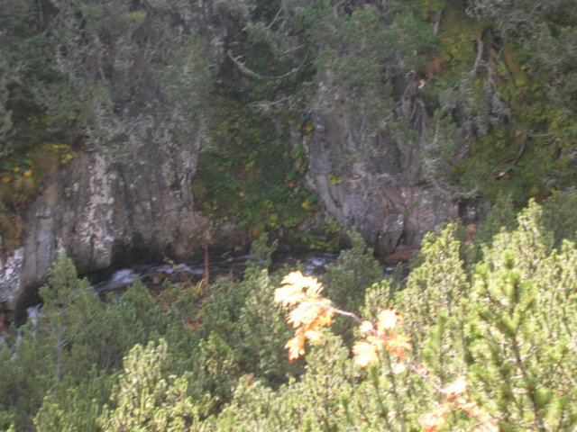 dscn3487.jpg
