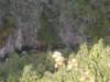 dscn3487_small.jpg