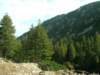 dscn3489_small.jpg