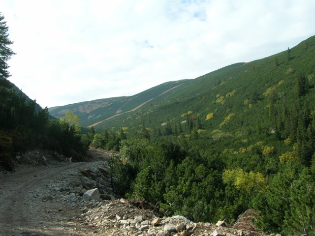 dscn3497.jpg