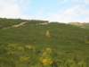 dscn3498_small.jpg