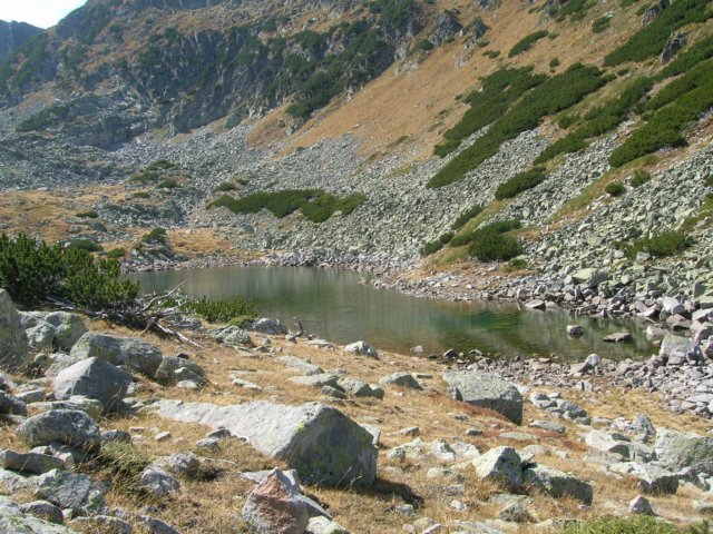 dscn3524.jpg