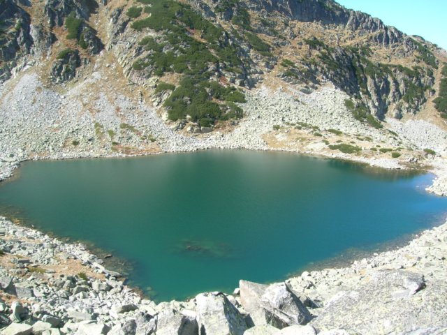dscn3538.jpg