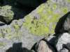dscn3541_small.jpg