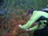 dscn3672_small.jpg