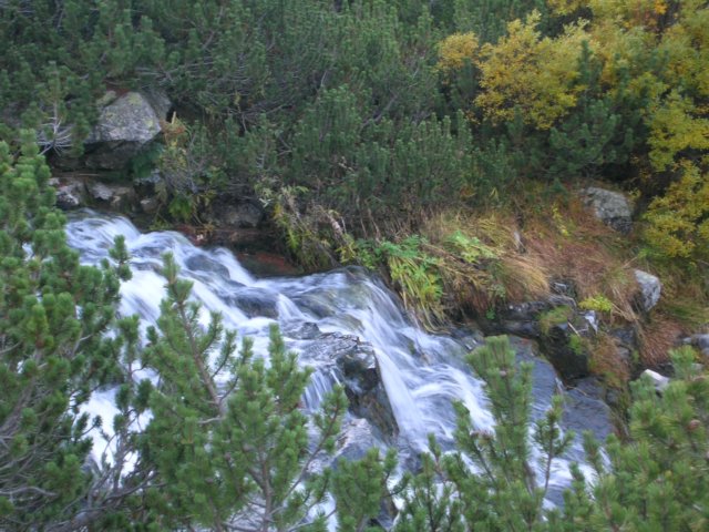 dscn3673.jpg