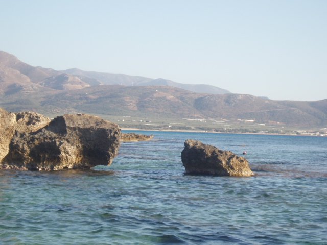p7290020.jpg