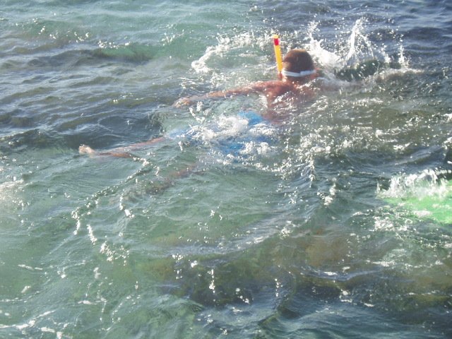 p7290034.jpg