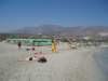 p7070147_small.jpg
