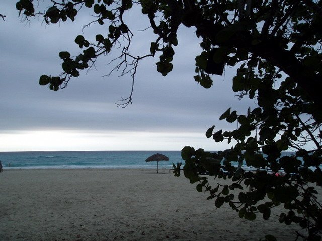 p4270280.jpg