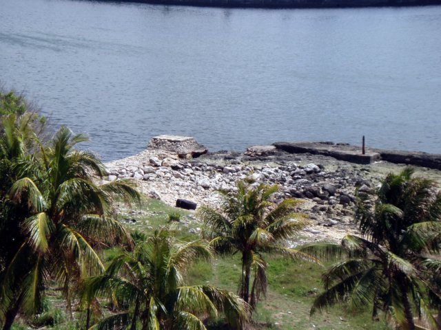 p4290583.jpg