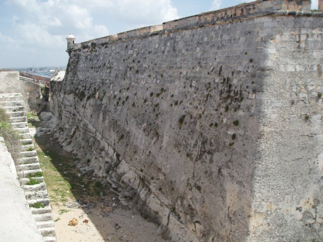 p4290588.jpg