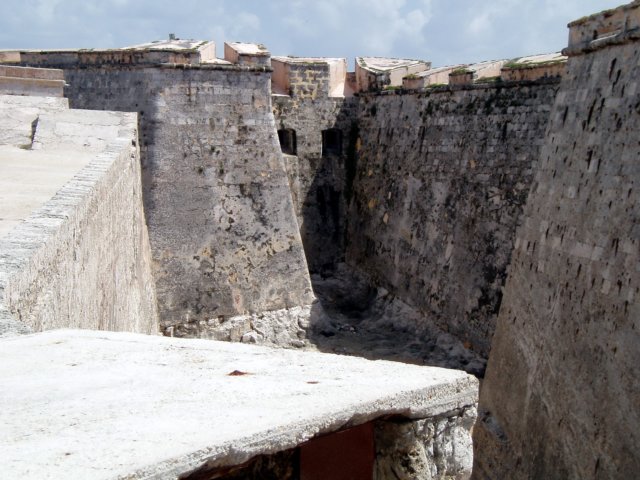 p4290595.jpg