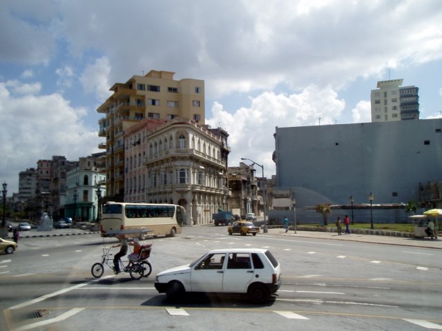 p4290601.jpg