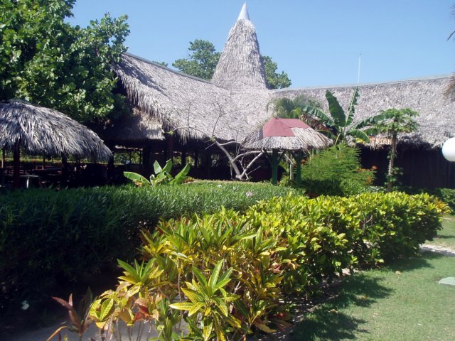p5020840.jpg