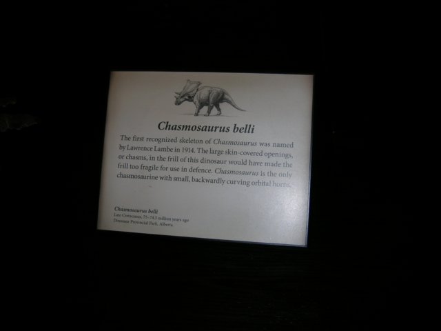 dscn2728.jpg