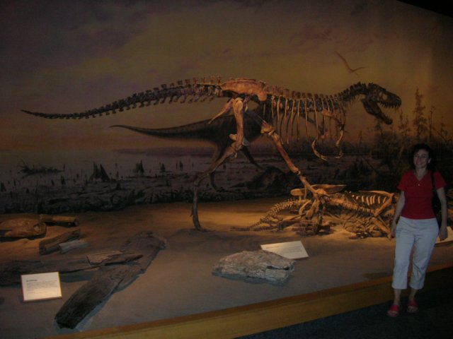 dscn2731.jpg