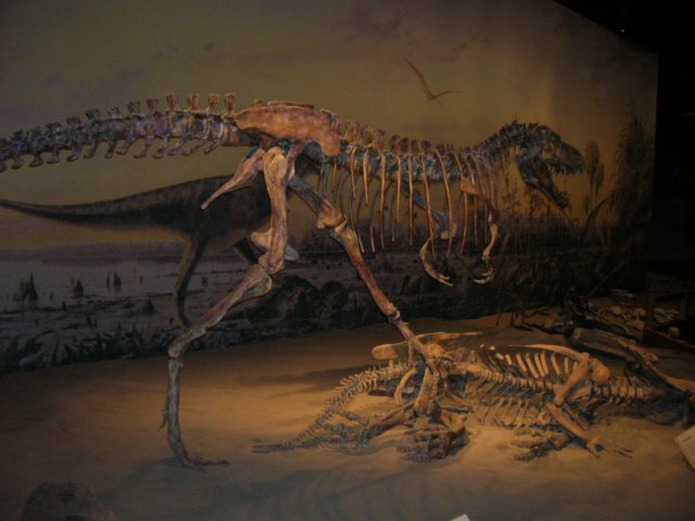 dscn2733.jpg