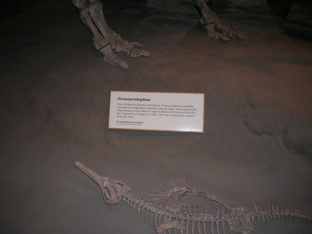 dscn2735.jpg